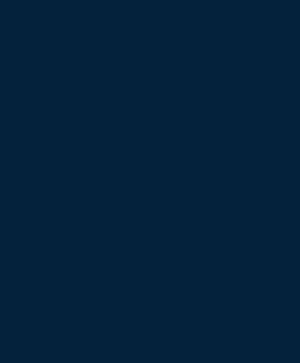 Blank Navy_ Blank Navy_